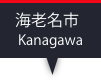 海老名市